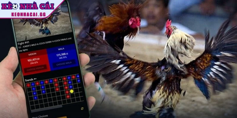 App cung cấp nhiều tính năng nổi bật cho người chơi 